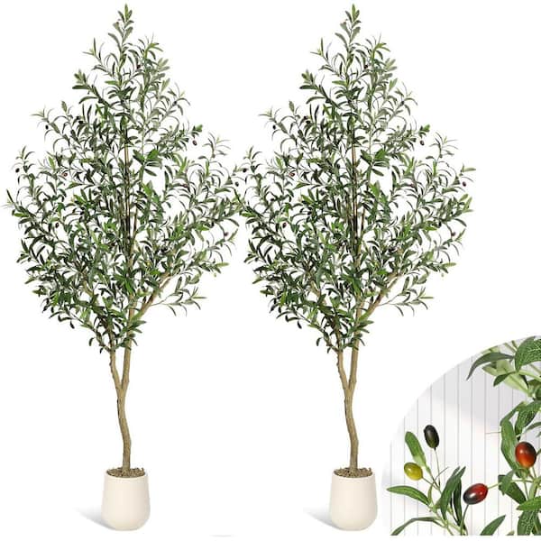 Gravee 6FT Faux Olive Tree Tall,Olive Trees Artificia Indoor with White ...