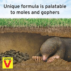 6 oz. Mole and Gopher Poison Peanuts