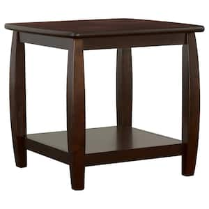 Dixon 23.5 in. Espresso Square Wood Top End Table with Bottom Shelf