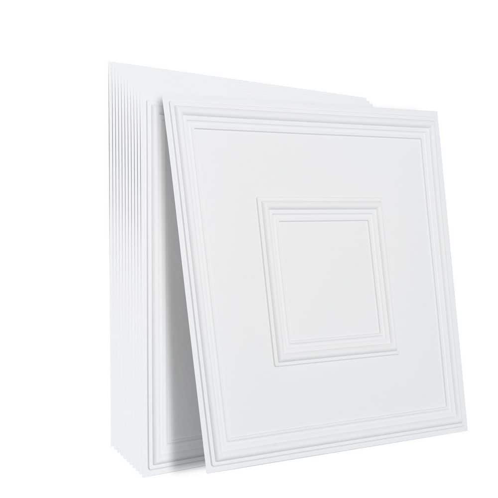 Drop Ceiling Tiles, White 2 ft. x 2 ft. Standard Ceiling Tile 48 sq. ft. Premium PVC Sheet, Easy Installation, 12-Pack price history on PriceWatchPro