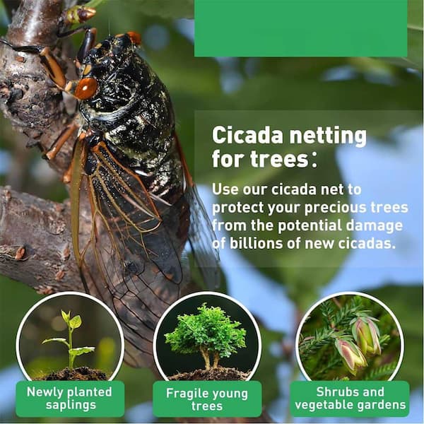 N/A 10 x 50 ft. Ultra Fine Garden Mesh Netting for Plant