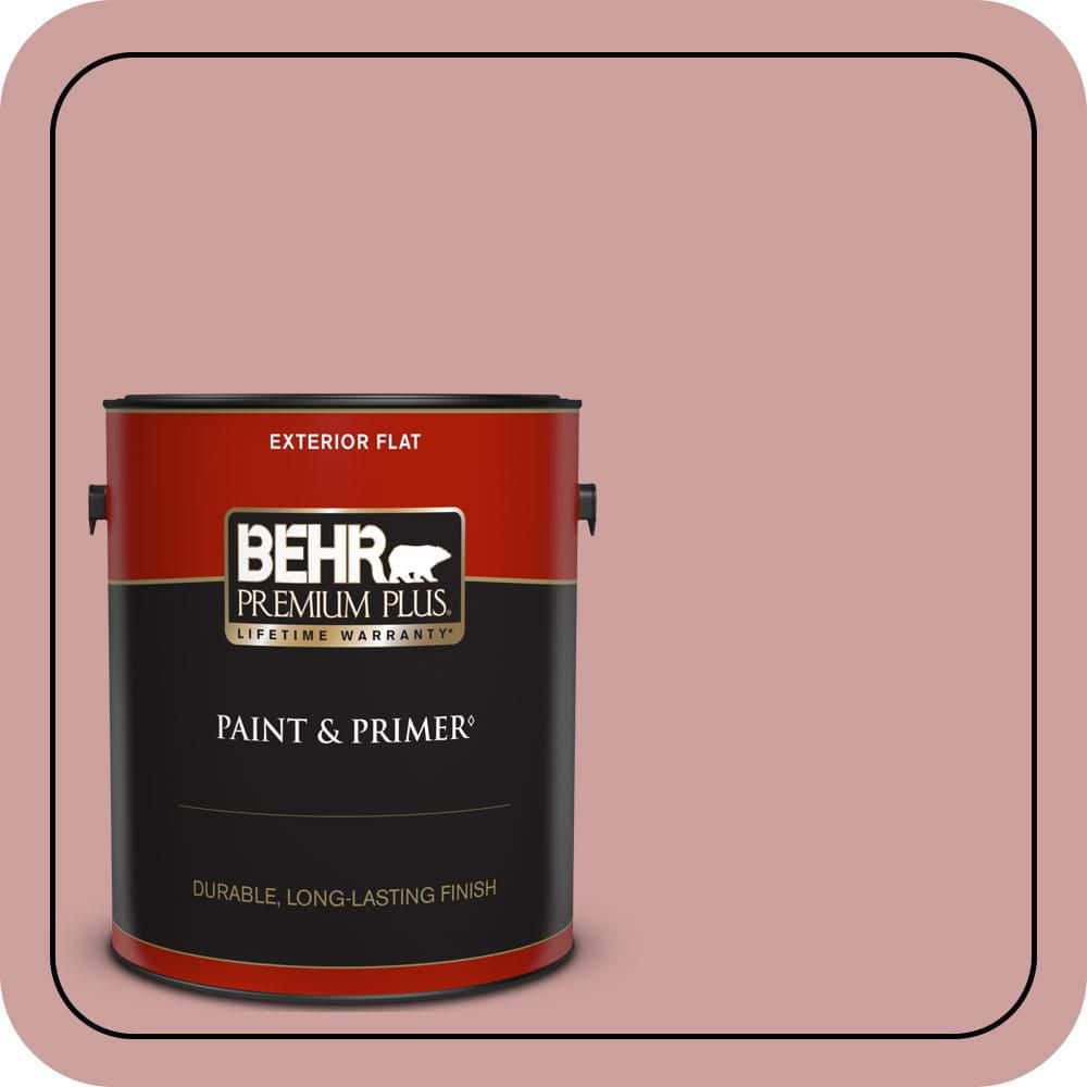 1 gal. #150E-3 Calico Rose Flat Exterior Paint & Primer price history on PriceWatchPro