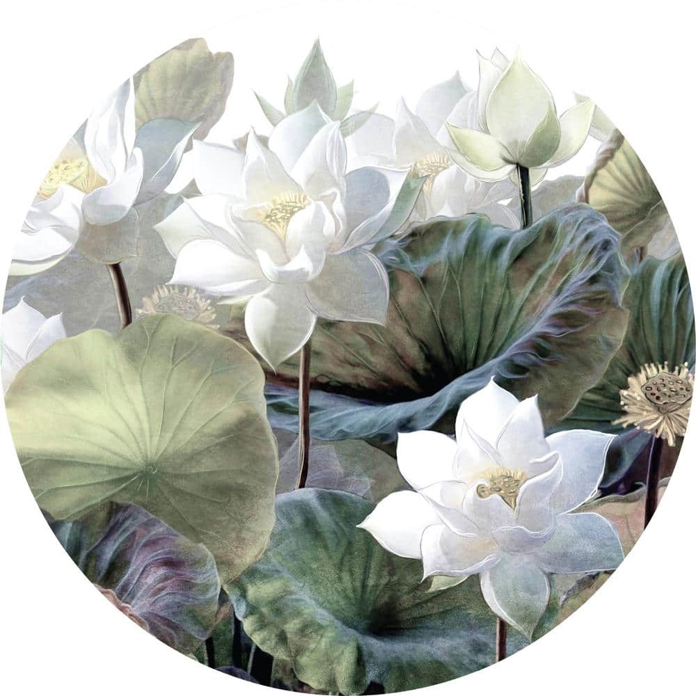 Falkirk Airdrie Abstract Peel and Stick Garden Flower Circular Wall Mural price history on PriceWatchPro