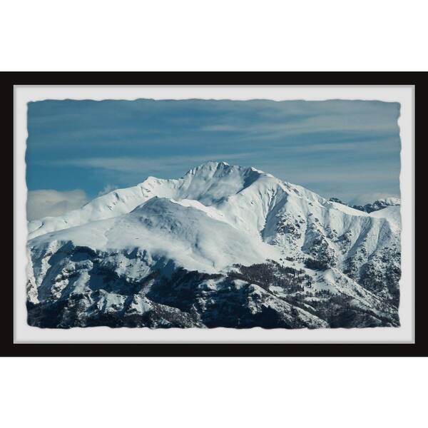 The Color of Winter by Marmont Hill Framed Nature Art Print 12 in. x 12  in. .