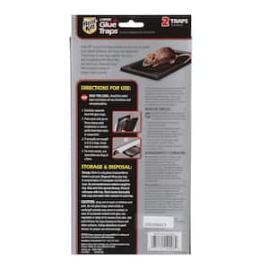 Large Rat and Mice Glue Traps (2-Count)