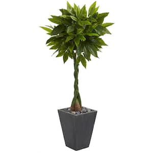 Real Touch 5 ft. High Indoor Money Artificial Tree in Slate Planter