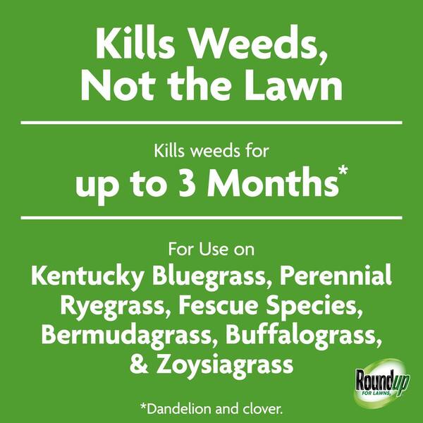 Compare-N-Save 75322 Herbicide Concentrate - 16 Oz, Kills Weeds & Grass, Up To 6 Months Prevention