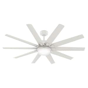 Overton 60 in. LED Indoor/Outdoor Matte White Ceiling Fan with Light Kit and Wall Control
