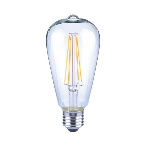 EcoSmart 75-Watt Equivalent ST19 Antique Edison Dimmable Clear Glass Filament Vintage Style LED Light Bulb Daylight (2-Pack)