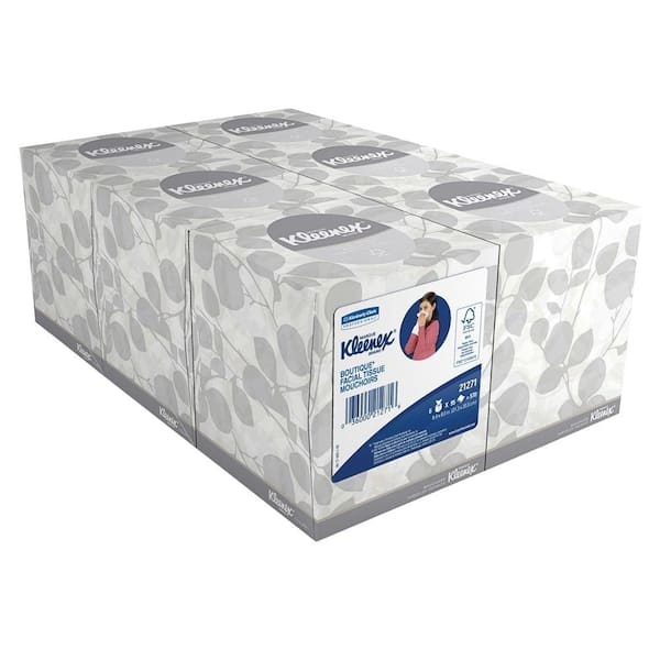 Facial Tissue 2-Ply (95 Sheets per Box)