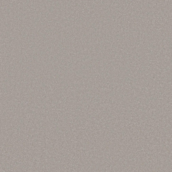 Park Royal I Storm Cloud Beige 42 oz. Nylon Texture Carpet - Installation Required