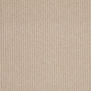 Finton  - Nomad - Brown 24 oz. SD Polyester Loop Installed Carpet