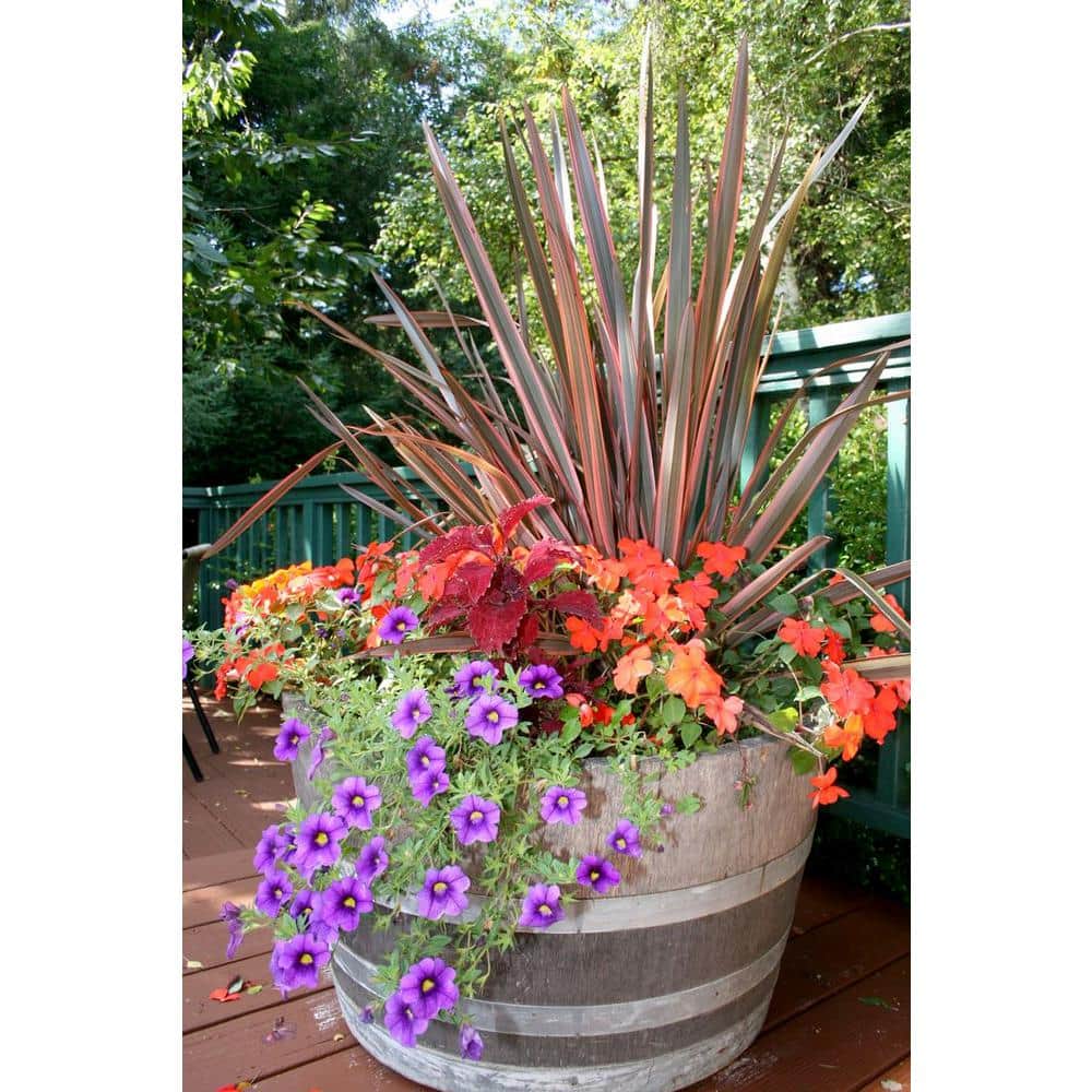 Extra Large Recycled Oak Wood Barrel Planter