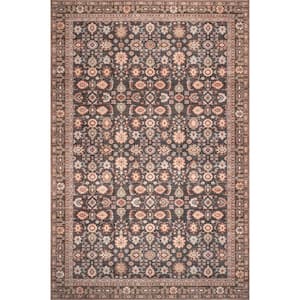 Cathie Machine Washable Brown 4 ft. x 6 ft. Medallion Area Rug