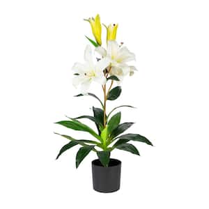 25 in. White Artificial Lily in Black Planter Pot