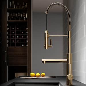 Artec Pro Single Handle Pull Down Sprayer Kitchen Faucet with Pot Filler in Brushed Gold