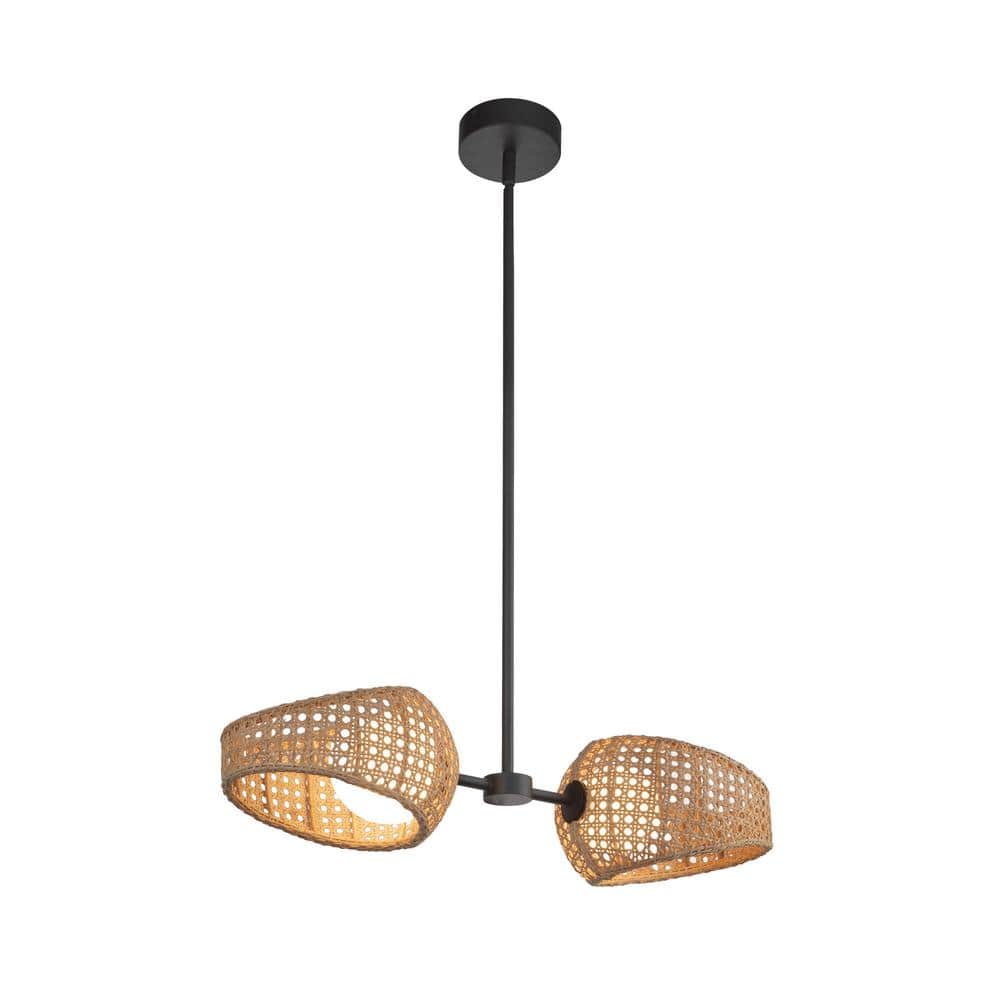 Lanai 2 Head 1 Light Black/Opal Glass Integrated LED Pendant Light price history on PriceWatchPro