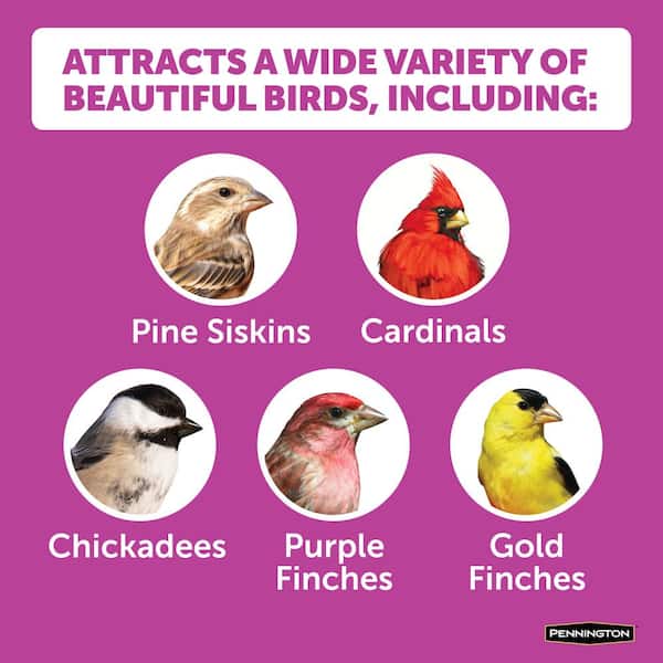 Ultimate 14 lb. Nut and Fruit Bird Seed Food Blend