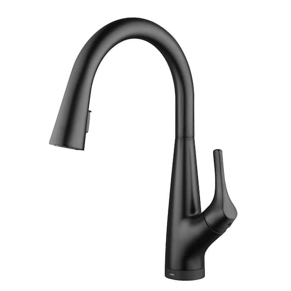 Glacier Bay Eagleton Single-Handle Pull-Down Sprayer Kitchen 