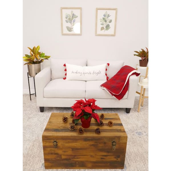 6.5 in. Red Poinsettia Live Holiday Plant with Decorative Pot Cover for Christmas and Holiday Decor