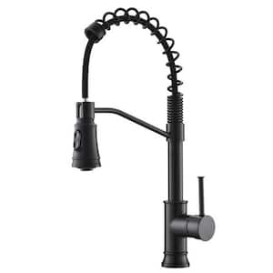 Single Handle Pull Down Sprayer Kitchen Faucet with Advanced Spray Spring 1-Hole Brass Kitchen Sink Taps in Matte Black