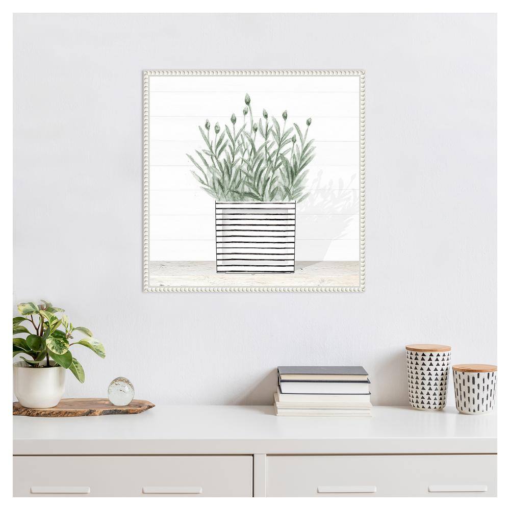 Lavender Blossom in Striped Pot Canvas Wall Art with White Frame