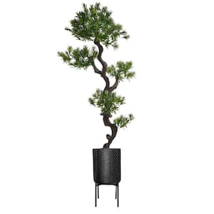 74.5 in. Tall Bonzai Tree W/Eco Planter in Chevron planter