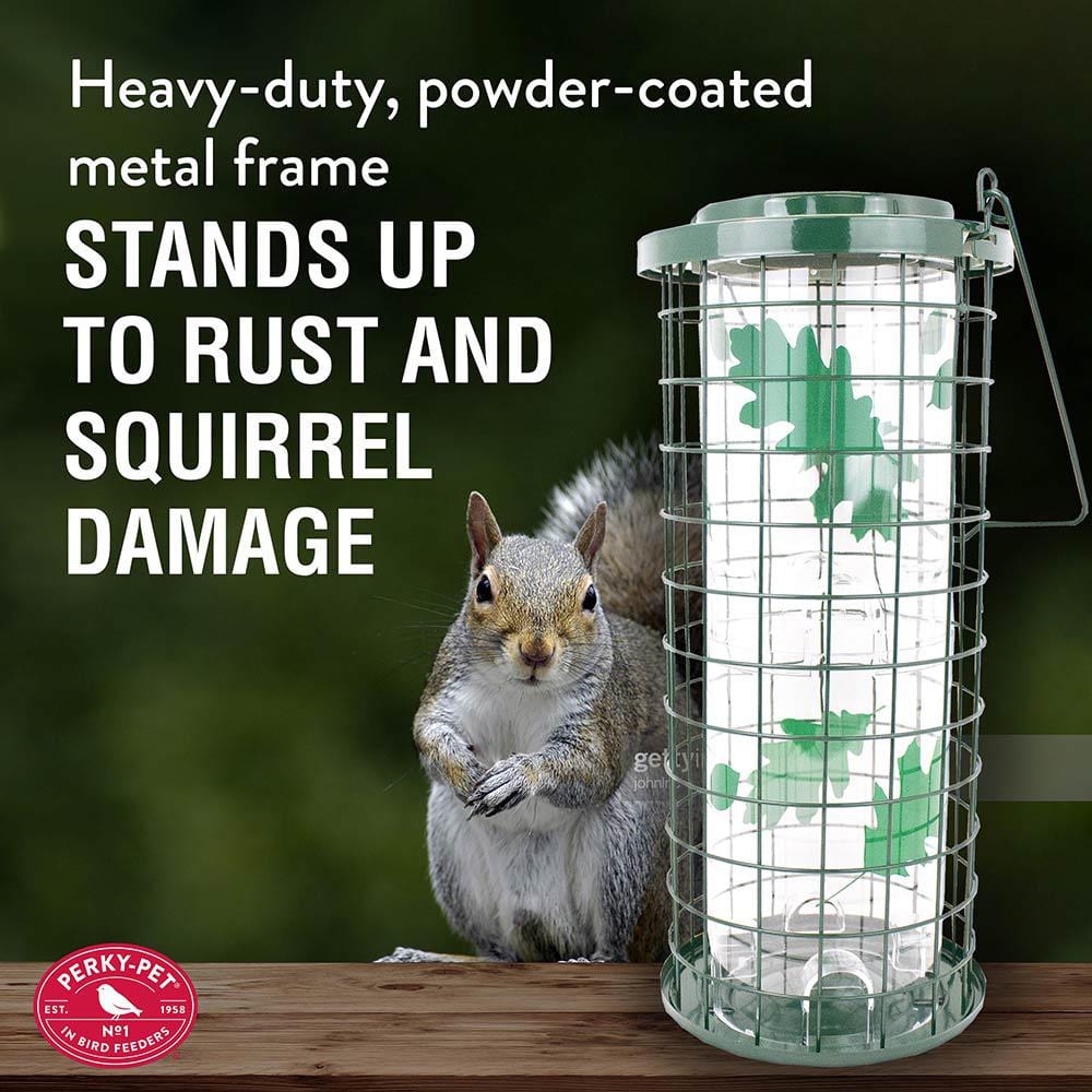 Green Metal and Plastic Squirrel Resistant Hanging Bird Feeder
