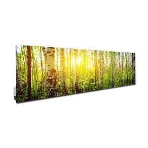 Glass Heater 1100-Watt Radiant Wall Hanging Decorative Glass Heat Panel - Forest
