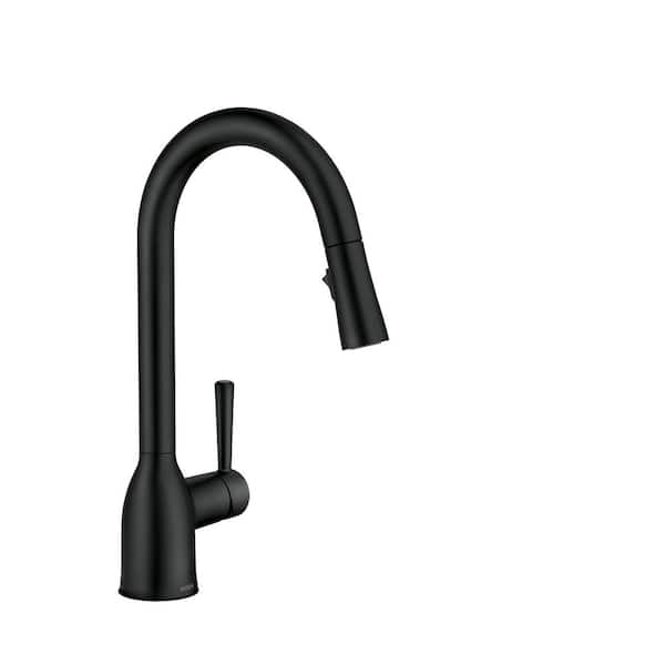 Adler Single-Handle Pull-Down Sprayer Kitchen Faucet with Reflex and Power Clean in Matte Black