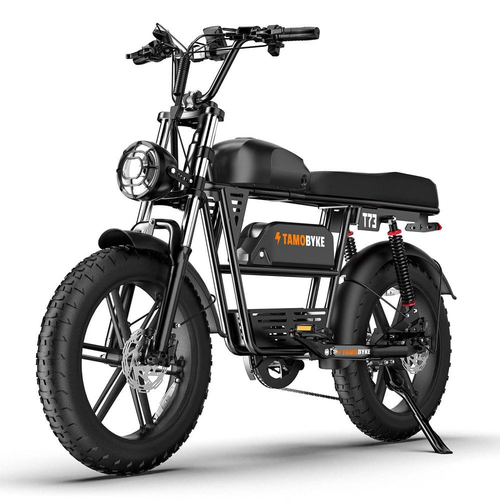 20 in. Black Fat Tire Powerful Motor Electric Bike for Adults Commute/Off-Road/Snow Ebike price history on PriceWatchPro