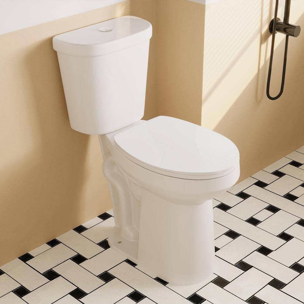 21'' White Ceramic Dual-Flush Elongated Two-Piece Toilet with Seat