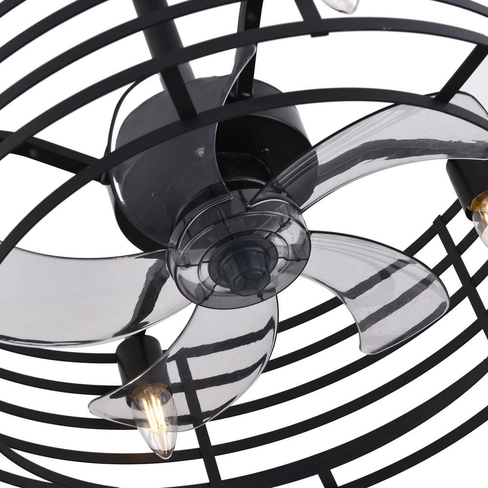 20'' Black Industrial Caged Ceiling Fan with Lights and Remote