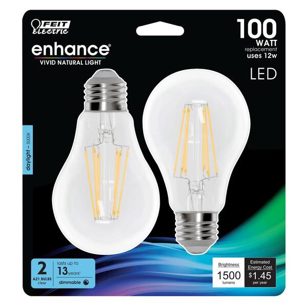 Masaccio Zeebrasem Top Feit Electric 100-Watt Equivalent A21 Dimmable CEC 90+ CRI Indoor LED Light  Bulb, Daylight (24-Pack) BPA19100CL950CAFI212 - The Home Depot