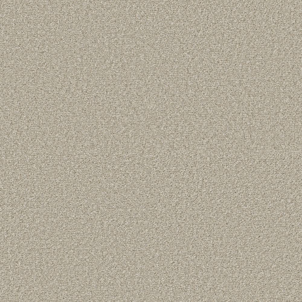 8 in. x 8 in. Texture Carpet Sample - Enchanted -Color Soft Landing price history on PriceWatchPro