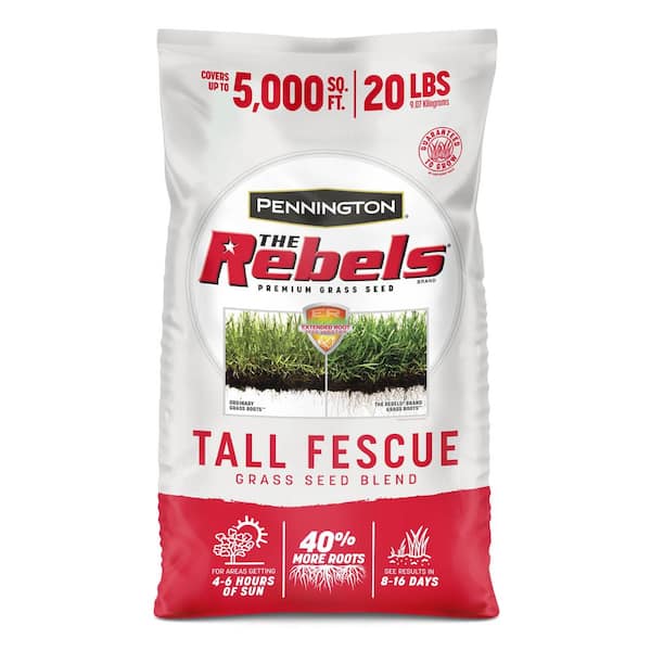 The Rebels 20 lb. 5,000 sq. ft. Tall Fescue Grass Seed Blend