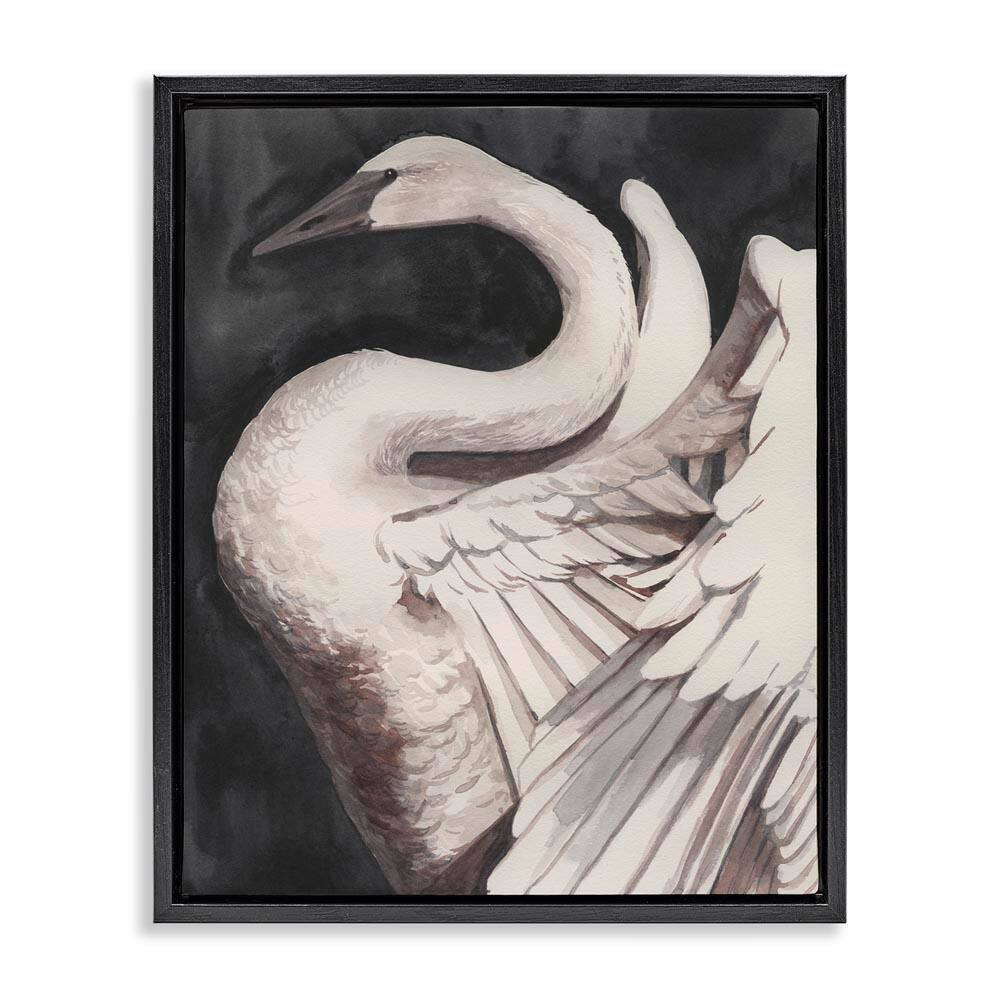 Swan Spreading Wings by Grace Popp Black Floater Frame Animal Graphic Art Print 21 in. x 17 in. price history on PriceWatchPro