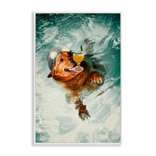Stupell Industries Disco Dog in Pool by Graffi*tee Studios White Framed Animal Giclee Art Print 30 in. x 20 in.
