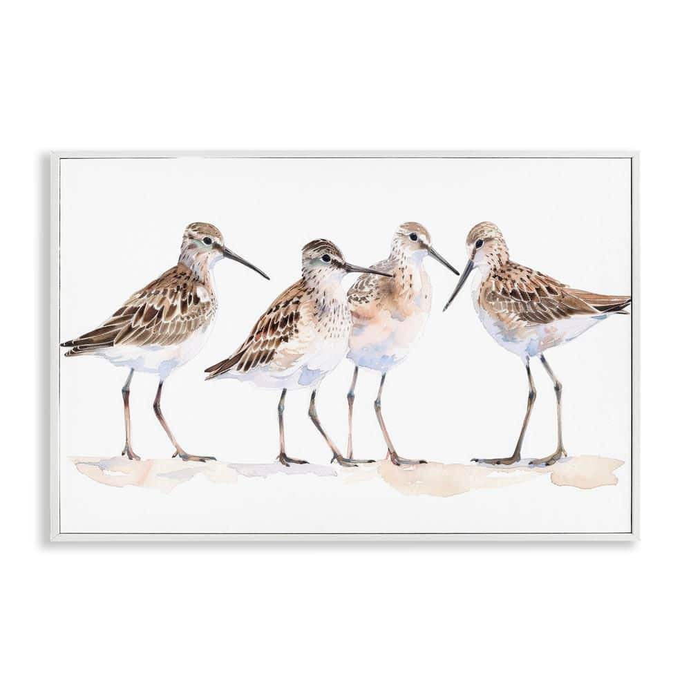 Sand Pipers Gathered by Petal Prints Design White Framed Animal Giclee Art Print 12 in. x 18 in. price history on PriceWatchPro