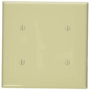 Ivory 2-Gang Blank Plate Wall Plate (1-Pack)