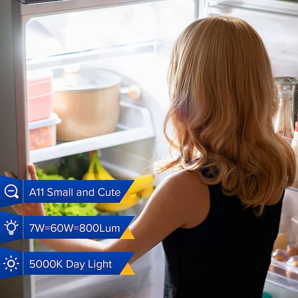 SANSI LED Refrigerator Light Bulb 45W Equivalent, Waterproof Frigidaire Freezer  LED Light Bulb, 5000K 450 Lumens, Non-dimmable, 4W Energy Saving A11  Appliance Fridge Bulbs, 2-Pack 