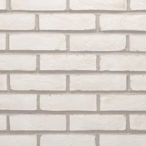 28 in. x 10.5 in. x .5 in. Bonneville Brick Sheets - Flats (Box of 5 Sheets)