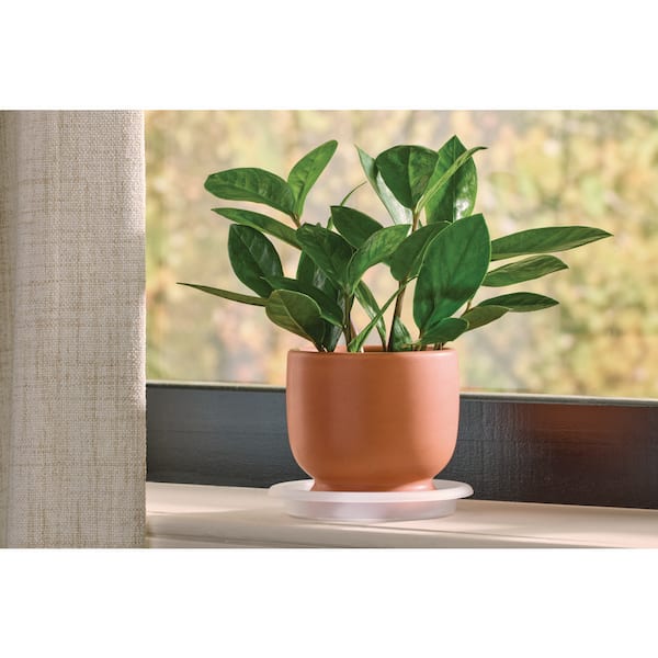 4 in. Dia Heavy-Duty Plastic Planter Saucer