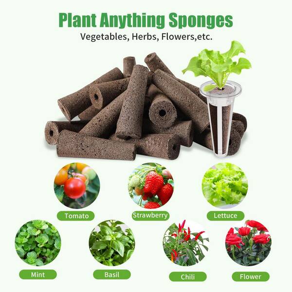 N/A 80 Sponges 20 Baskets 1 Tweezer Hydroponic Grow Kit with Seed