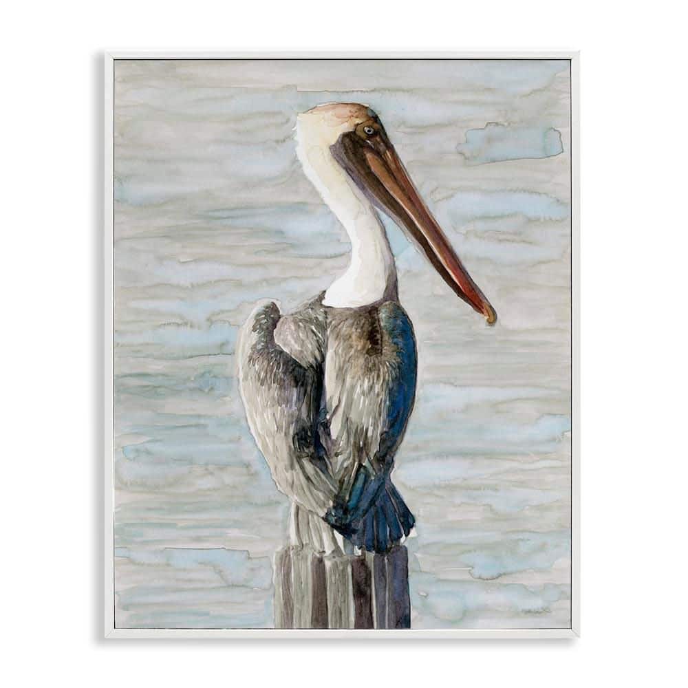 Pelican Watercolor Painting Coastal Bird by Stellar Design Studio White Framed Giclee Art Print Animal 11 in. x 14 in. price history on PriceWatchPro