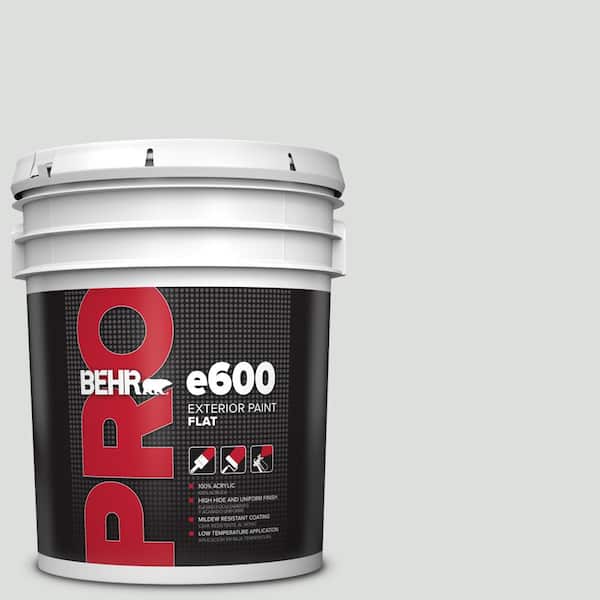 5 gal. #720E-1 Reflecting Pool Flat Exterior Paint