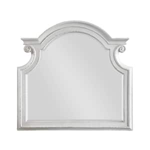 Florian 43 in. x 2 in. Classic Novelty Framed Antique White Decorative Mirror