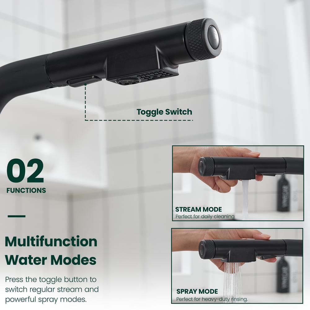 Matte Black Stainless Steel Pull-Out Spray Kitchen Faucet