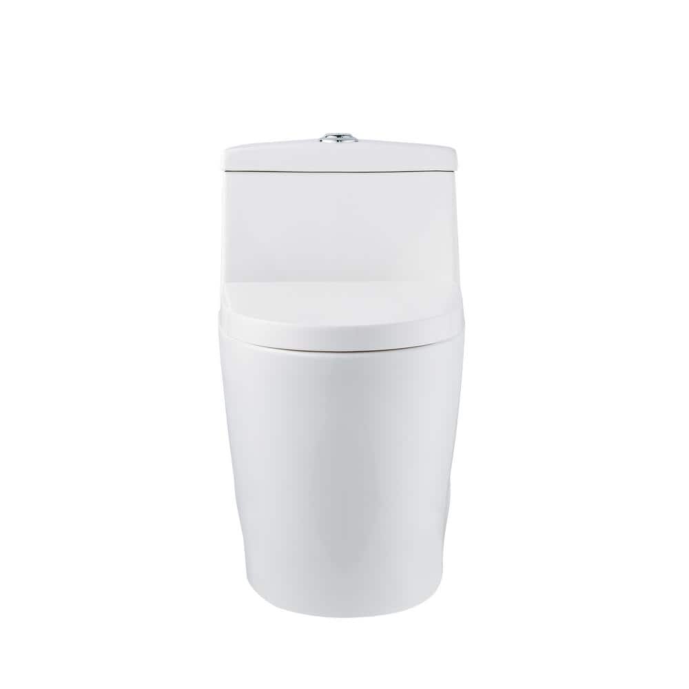 White Elongated Dual-Flush One-Piece Toilet with Silver Button