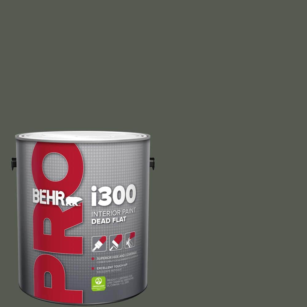 1 gal. #N410-7 North Woods Dead Flat Interior Paint price history on PriceWatchPro